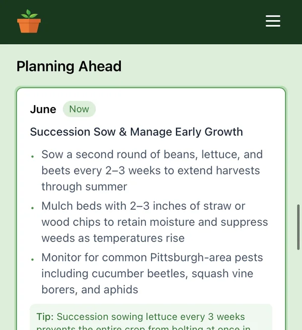 Month-by-month planting guidance